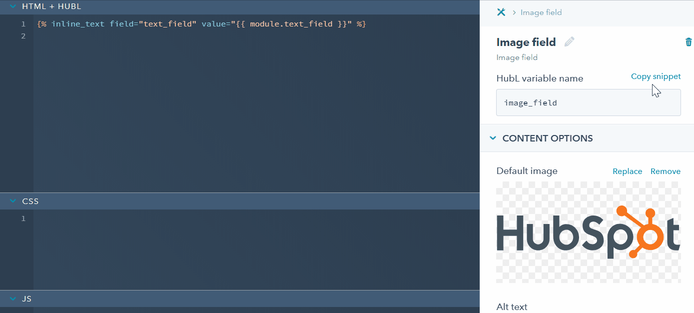 copy-paste-field-snippet
