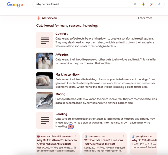 ai overviews example